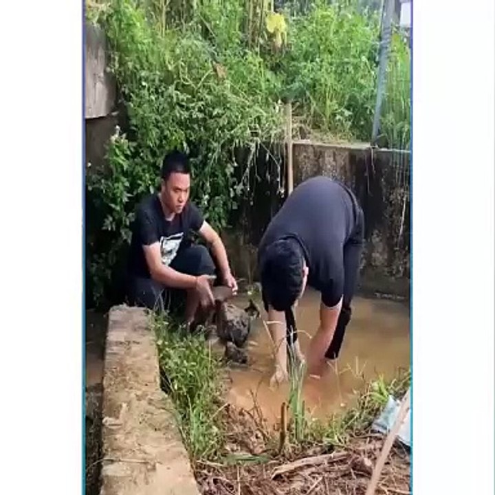 top people doing stupid things