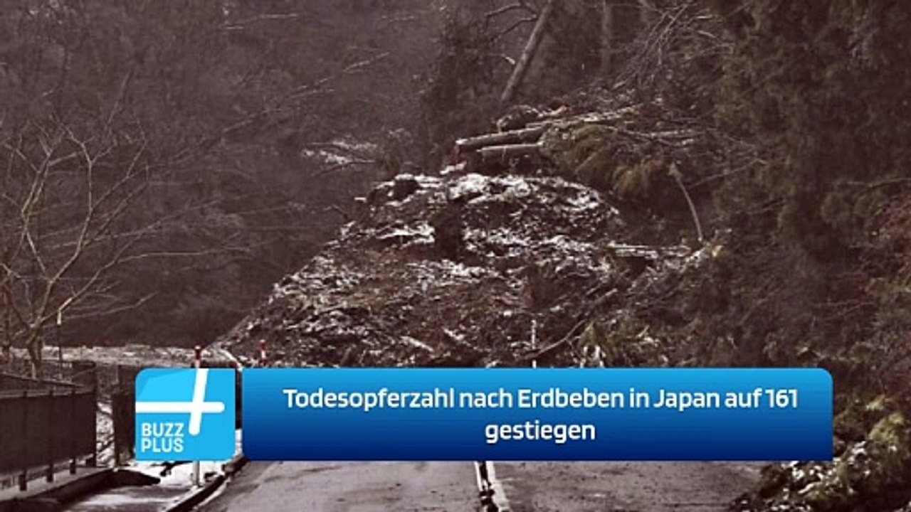 Todesopferzahl nach Erdbeben in Japan auf 161 gestiegen