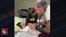 Köpeğin bebeğe ve sahibine gösterdiği şefkat kamerada