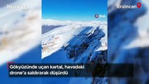 Erzincan’da kartal drone avladı