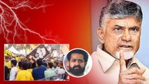 Pawan Kalyan, Jr NTR.. మధ్యలో Chandrababu.. TDPలో లొల్లి లొల్లి | Telugu Oneindia