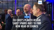 EU chief Michel will step down early to run in the European parliamentary elections