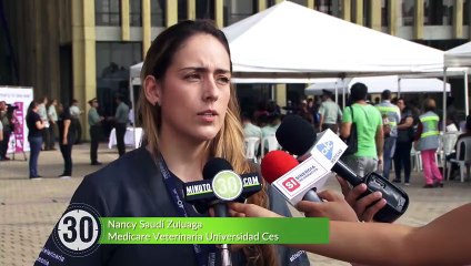 30-11-17 Detonaciones de polvora producen muerte subita y abortos en animales