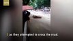 Pedestrians save elderly people from being washed away by flood