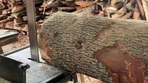 Enhanced Craftsmanship Mastering the Sawmill for Amazing Woodworking!