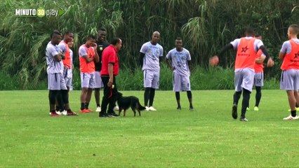27-02-19 Rionegro Águilas Doradas tiene espías fijos  en los entrenamientos