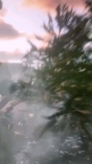 Un parc d'attractions Dragon Ball 