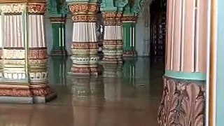Mysore Palace Raj Darbar || Mysore Palace || Amba Vilas Palace || places to visit in mysore