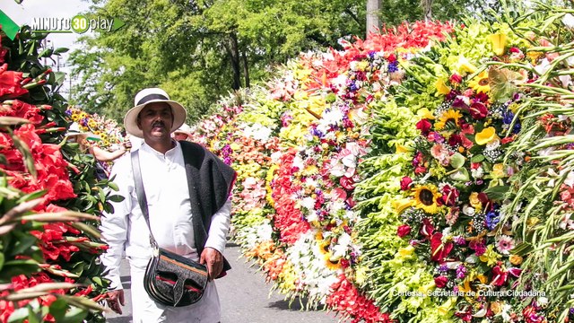 Entrevista Lina Botero Villa Secretaria de Cultura Ciudadana 30-07-2019