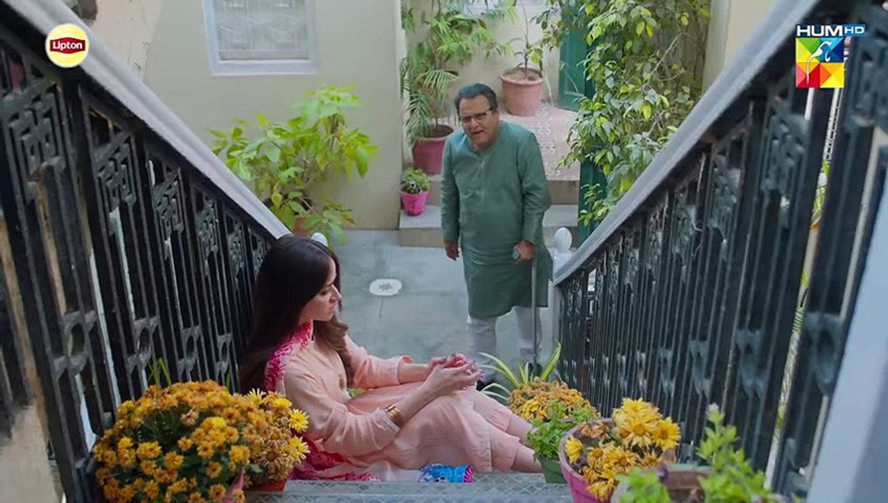 Dil Pe Dastak - Ep 12 - 23 March 2024 - Presented By Lipton [ Aena Khan & Khaqan Shahnawaz ] HUMTV