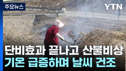단비 효과 사흘이면 끝...청명·한식 앞두고 산불 초비상 / YTN