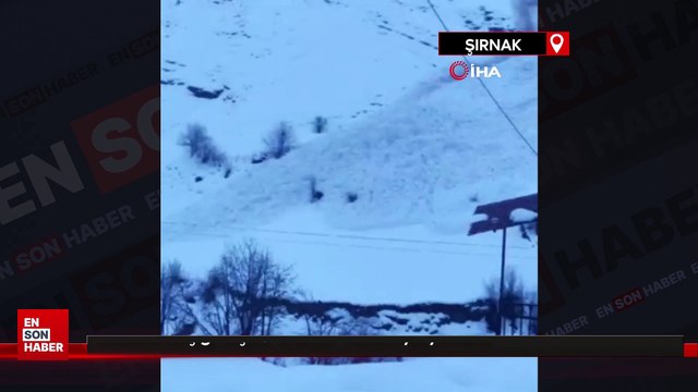 Şırnak Uludere’de çığ düştü, o anlar kameraya yansıdı