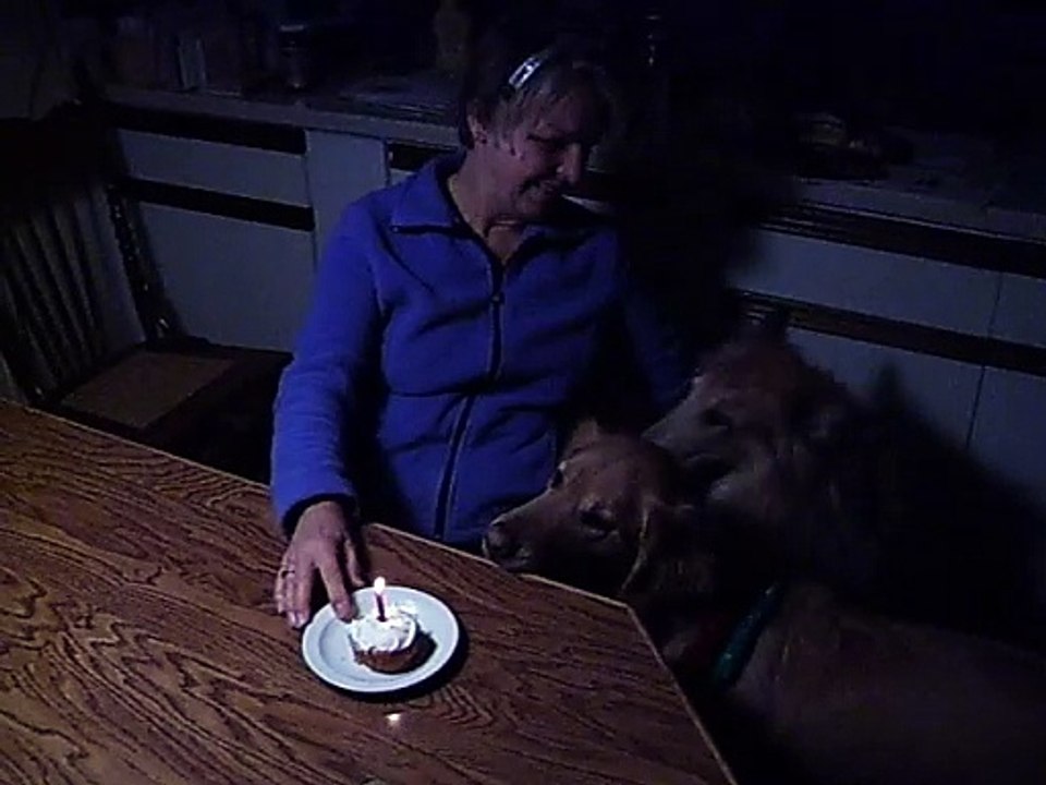 Tanner & Shadow's Birthday Party