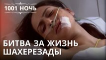 Битва за жизнь Шахерезады | 1001 ночь - Эпизод 23