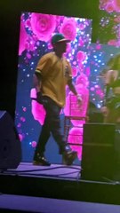 Alexis & Fido cierran con broche de oro el Reggaetón Fest en Honduras