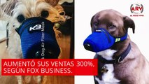 Coronavirus en mascotas: Aumentan ventas de mascarillas para protegerlos