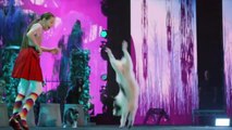 America's Got Talent: The Champions;  Cute And Funny Dog Tricks By The Amazing Alexa Lauenburger! -