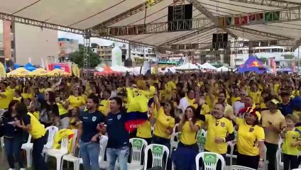 Aficionados ecuatorianos celebran el empate de su selección ante Países Bajos