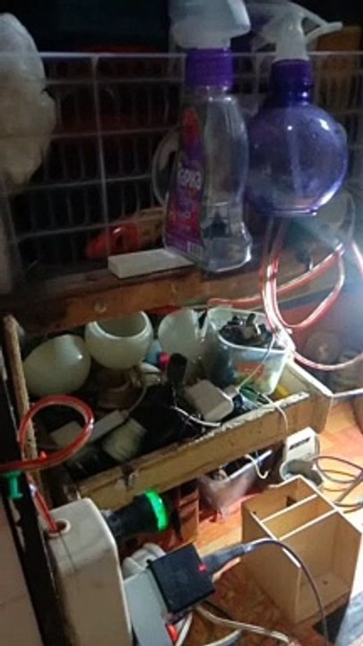 servise lampu