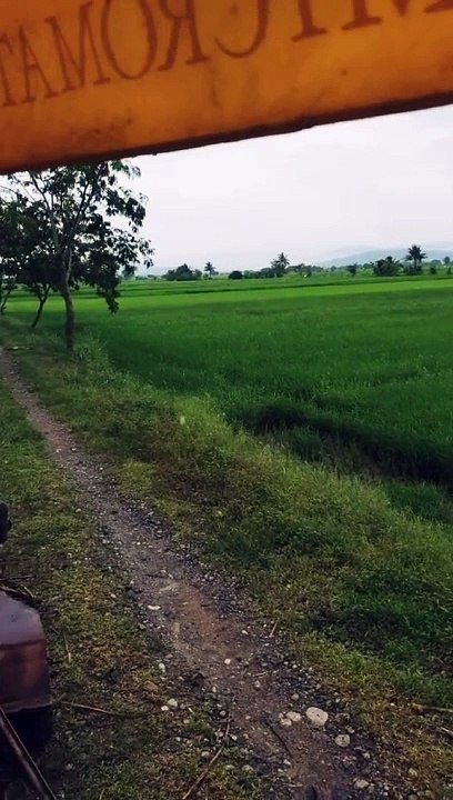 Farm