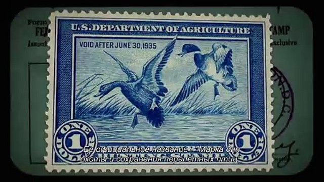 La Cane aux œufs d'or Bande-annonce (RU)