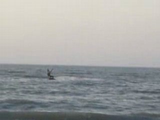 kite surf