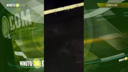 ¡Un gorila anda suelto!