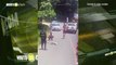 Lento pero seguro  policías detiene tránsito para darle paso a un oso perezoso en Costa Rica