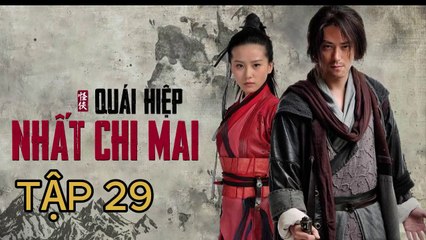 Quái Hiệp Nhất Chi Mai - Tập 29 | Phim Cổ Trang, Tình cảm, Hành Động, Phá án Trung Quốc