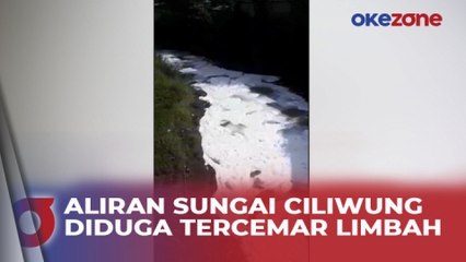 Aliran Sungai Ciliwung Diduga Tercemar Limbah, Sejumlah Ikan Mati