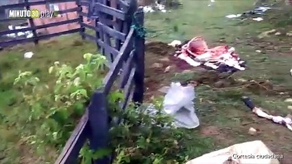 08-03-19 cuatreros san antonio de prado