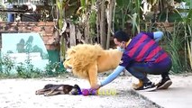 Best Dog Prank Ever: Laughing Guaranteed!