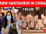 Todo lo que debes saber sobre el Hantavirus, el virus que ya ha dejado un muerto en China