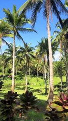 beautiful place to unwind