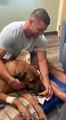 #VIRAL: Conmovedor: Tim Tebow, ex jugador de la NFL alimenta a su  perro Bronco por ultima vez