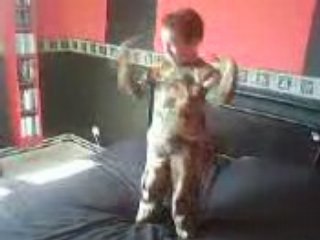 Mon frère... Tecktonik :( :( :(