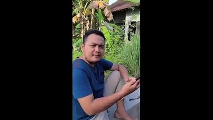 VIDEO LUCU kumpulan video lucu bikin ngakak 05