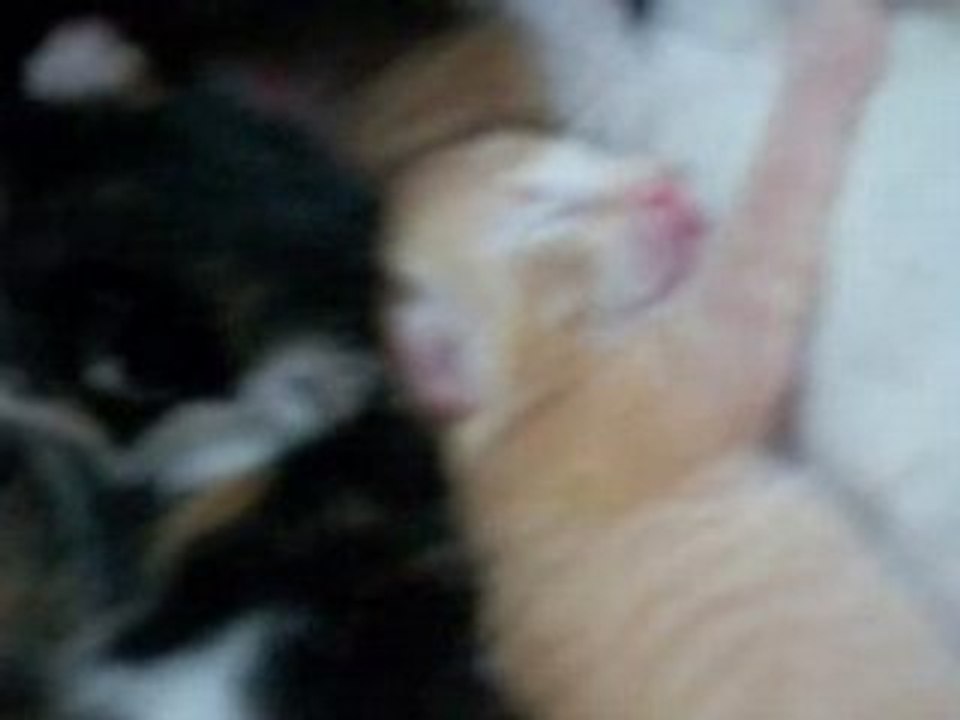 crunch apples et noisette + milie qui fait un calin à kiwi