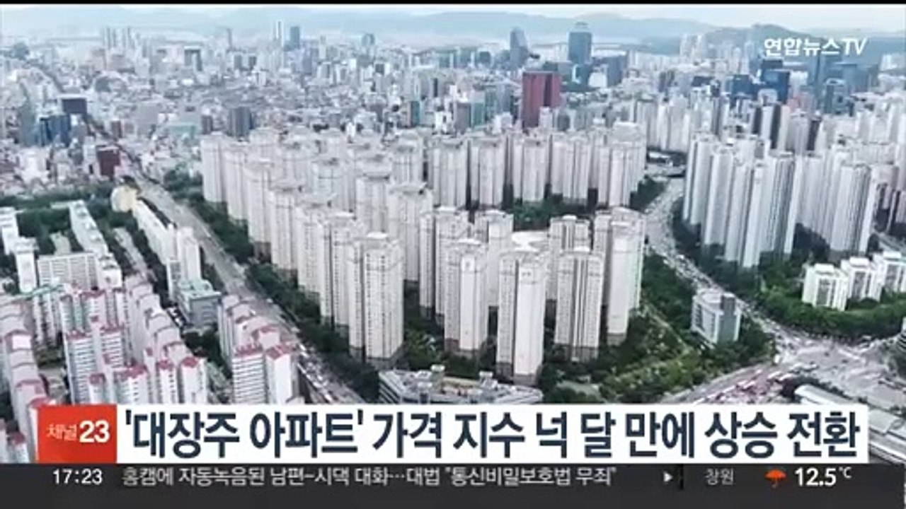 '대장주 아파트' 가격 지수 넉 달 만에 상승 전환