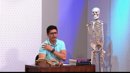 17 DOLOR DE HOMBRO 2_1