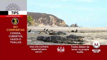 Cocodrilos 'aprovechan' que no hay gente para volver a playas de Oaxaca