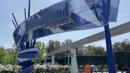 Un couple a vécu à Disneyland sans se faire repérer des visiteurs
