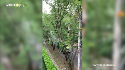 Caida de mujer en santa monica medellín 27-01-2020