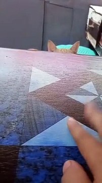 Sign up for ExpertOption by referral link and get a 120% bonus eo.shortlify.com/787198544