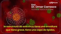 ¿Cuáles son los mejores productos para desinfectar y prevenir el COVID-19?