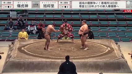 Haru 2024, Jonidan - Day 14