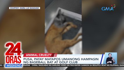 Pusa, patay matapos umanong hampasin ng baseball bat at golf club | 24 Oras Weekend