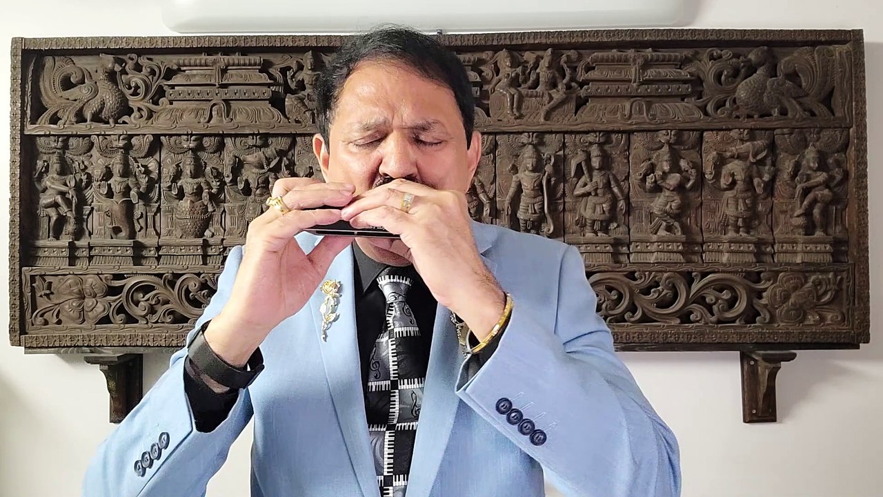 Adha Tera Adha Mera BadRang Mai Satranga - Film Animal 2023  on Harmonica Performance by Mukund Kamdar