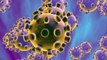 Las primeras personas se someten a las pruebas clínicas de una vacuna contra el #coronavirus