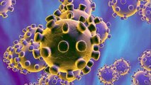 Las primeras personas se someten a las pruebas clínicas de una vacuna contra el #coronavirus